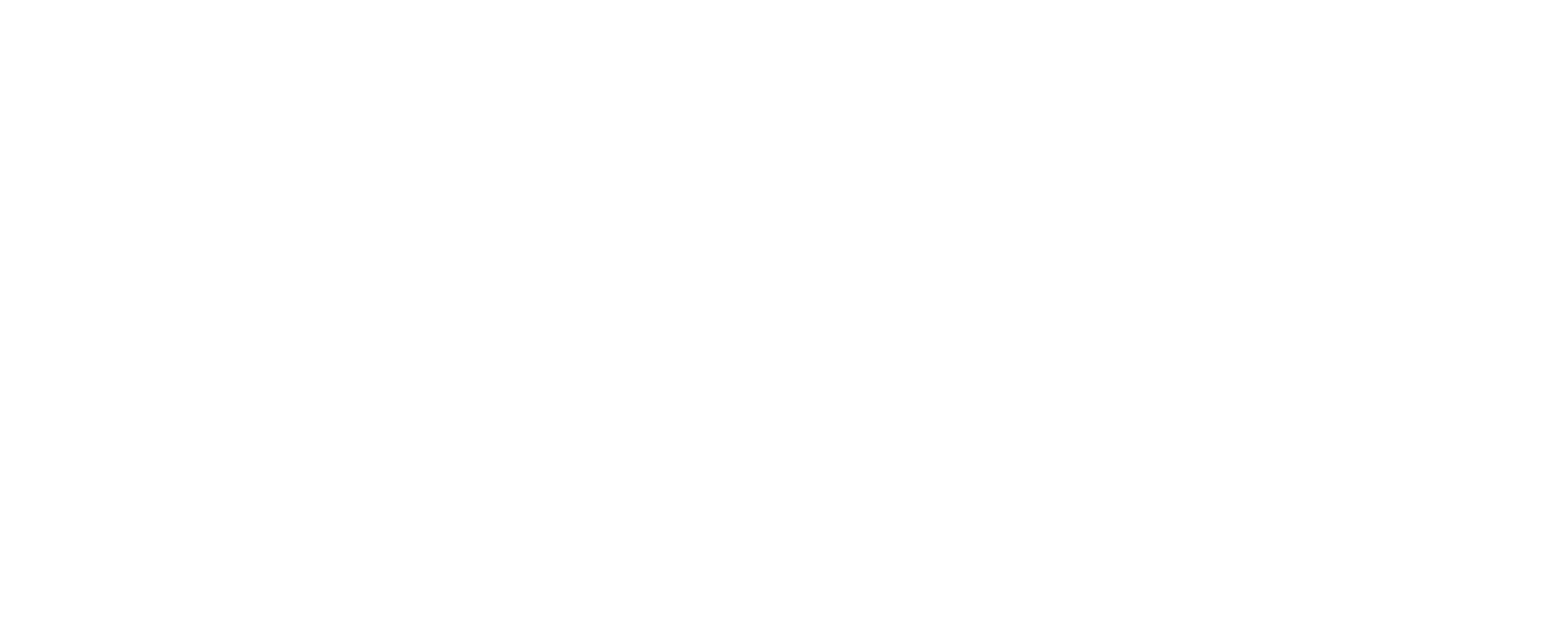 AVIS-07